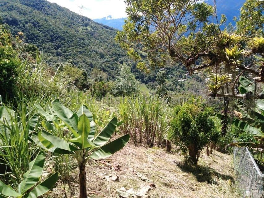 Residential Lot for Sale on Avenida Los Proceres, Merida