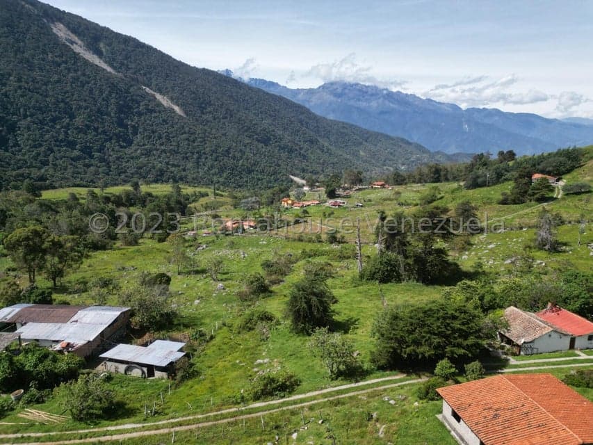 Commercial Land for Sale in El Valle, Mérida