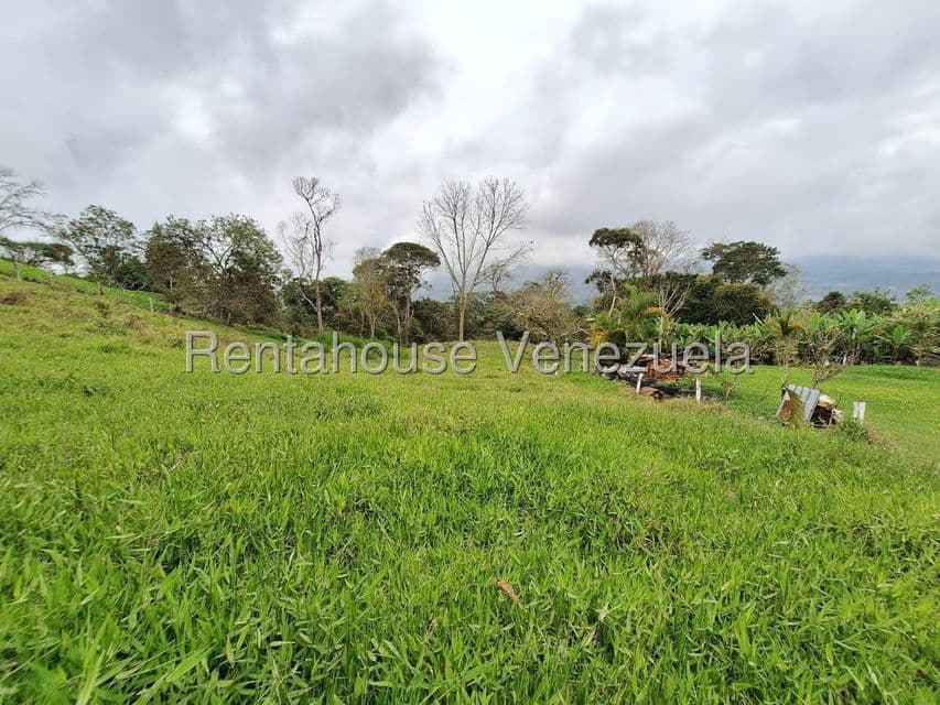 Land (Farm) for Sale in Buena Aventura, Merida