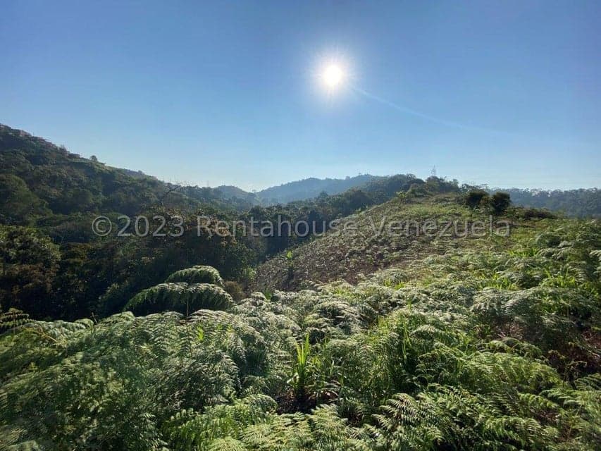 Commercial Lot for Sale in Guaicaipuro Municipality, Miranda