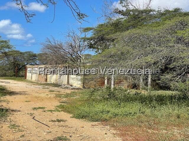 Commercial Land for Sale in Pueblo Nuevo, Falcon