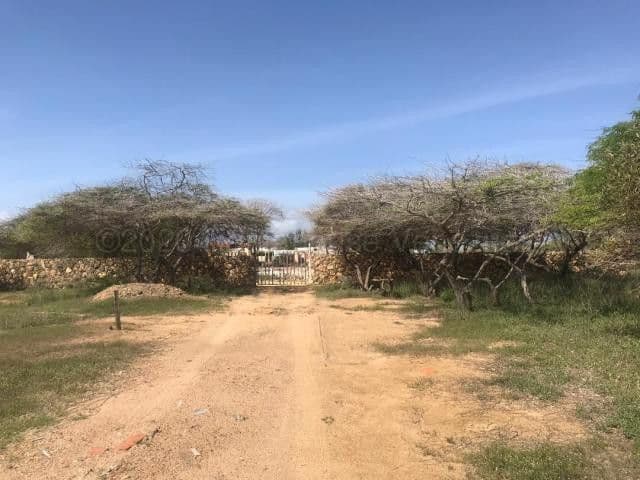 Commercial Land for Sale in Adicora, Falcon