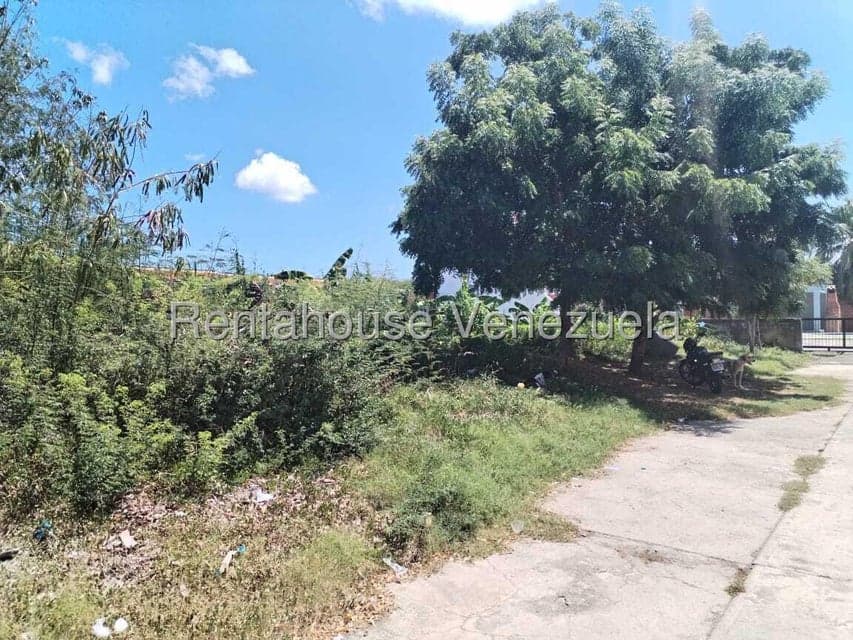 Terreno (Comercial) en Venta en Flamingo, Falcon