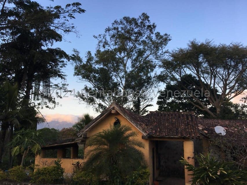 Country House for Sale in Bejuma, Carabobo