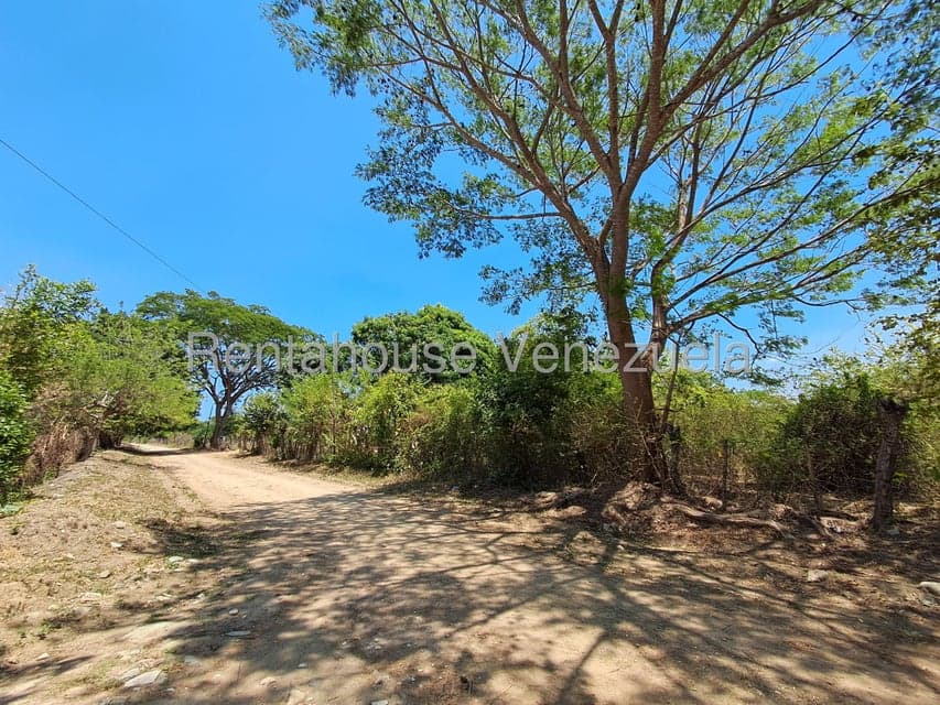 Land (Finca) for Sale in Tocuyito, Carabobo