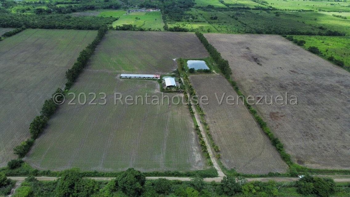 10-Hectare Farm for Sale in Peña Municipality, Yaracuy