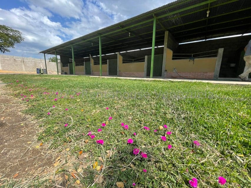 Commercial Equestrian Property for Sale in Jimenez Municipality, Lara