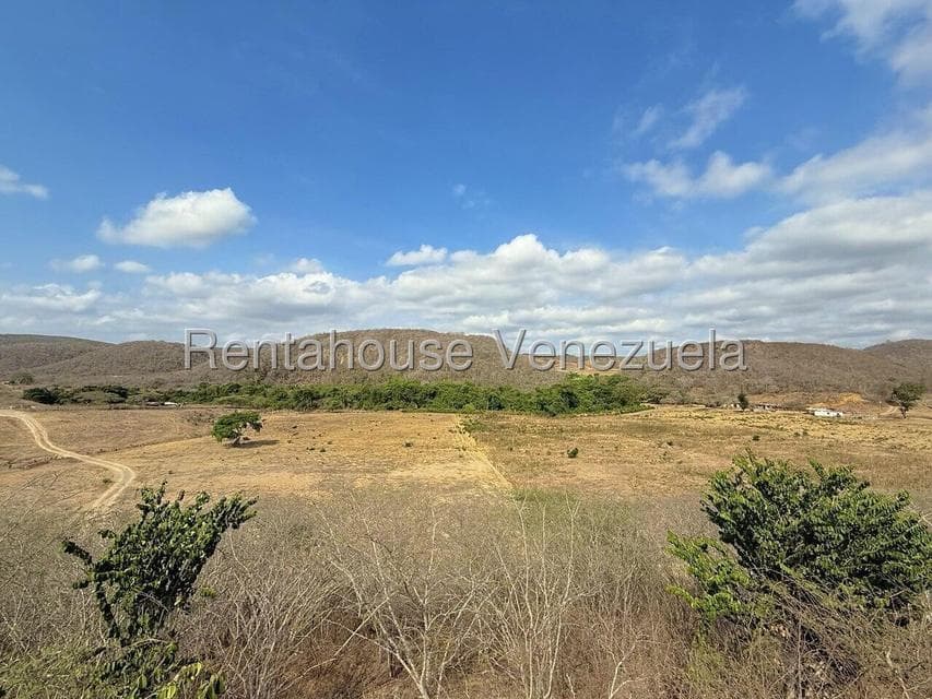 Agricultural Estate (Finca) for Sale in Peña Municipality, Yaracuy