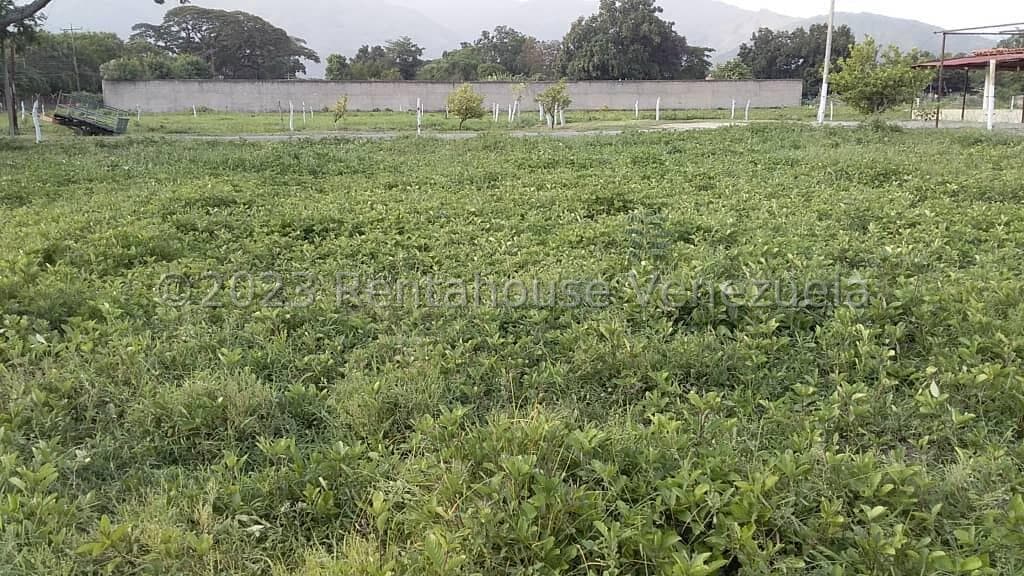 Terreno (Comercial) en Venta en Sabana del Medio, Carabobo