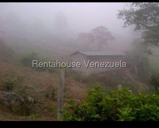 Farm Land for Sale in Tachira, Tachira